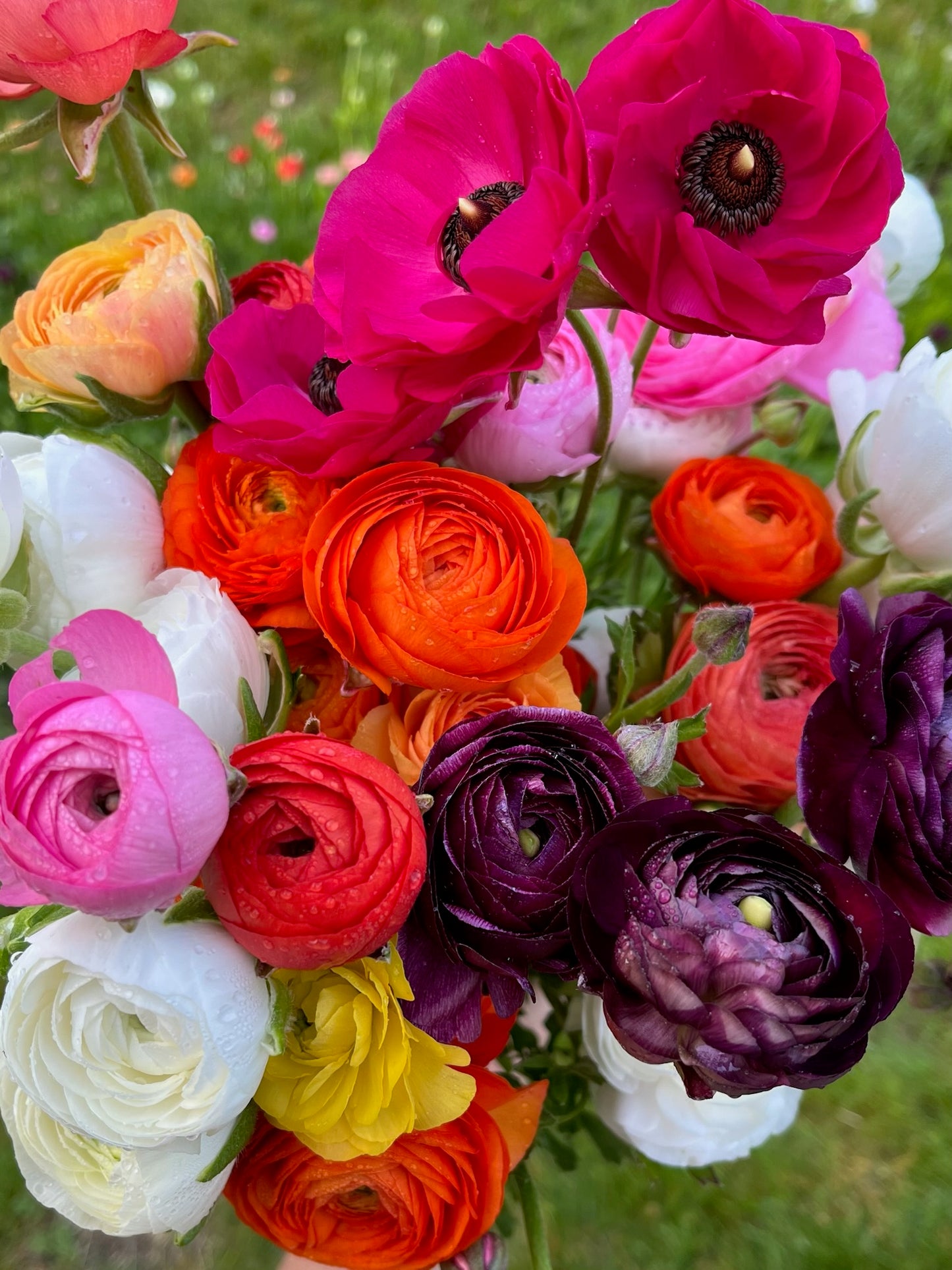 2025 Bouquet Subscription