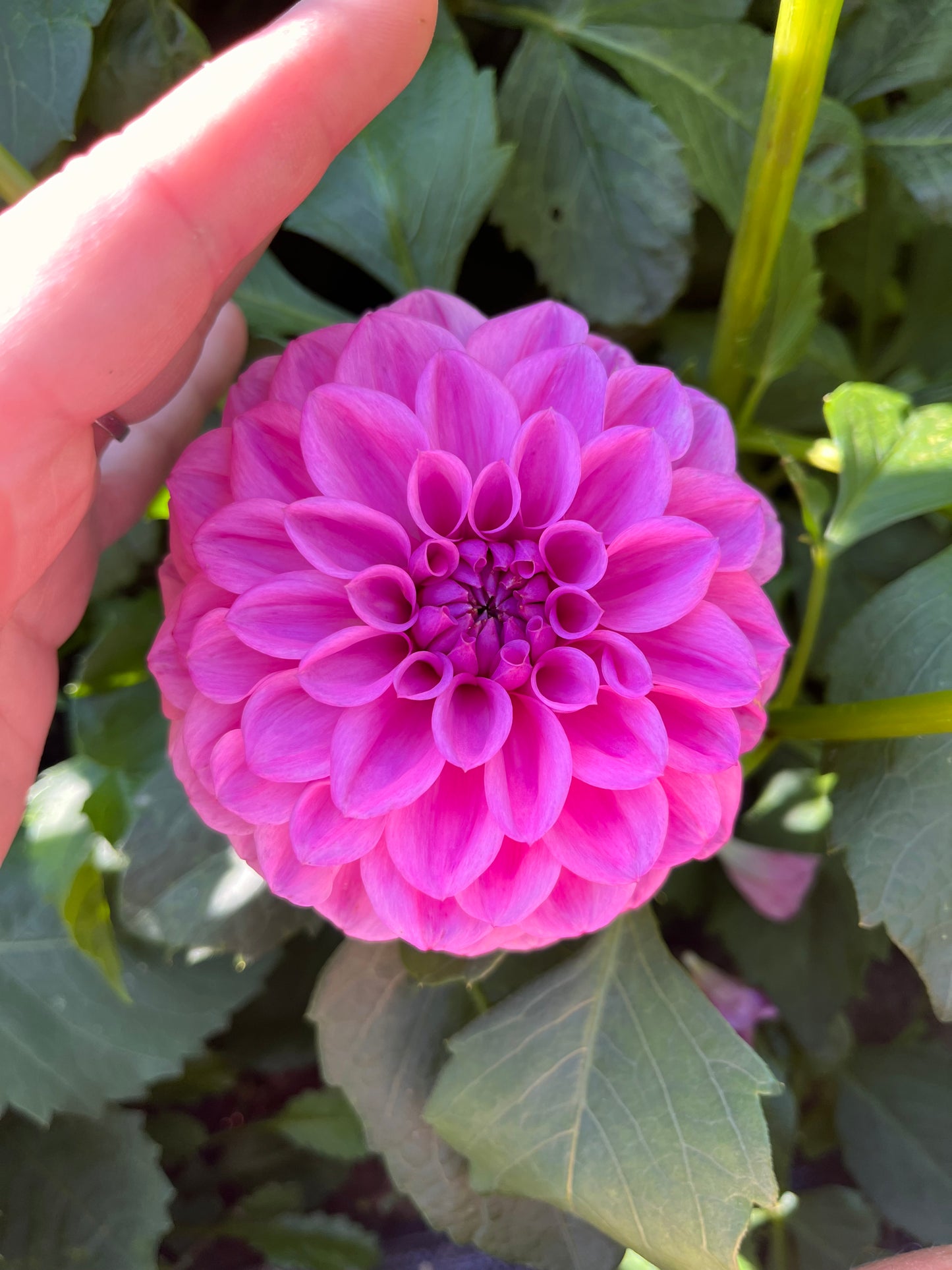 Mission Galactica