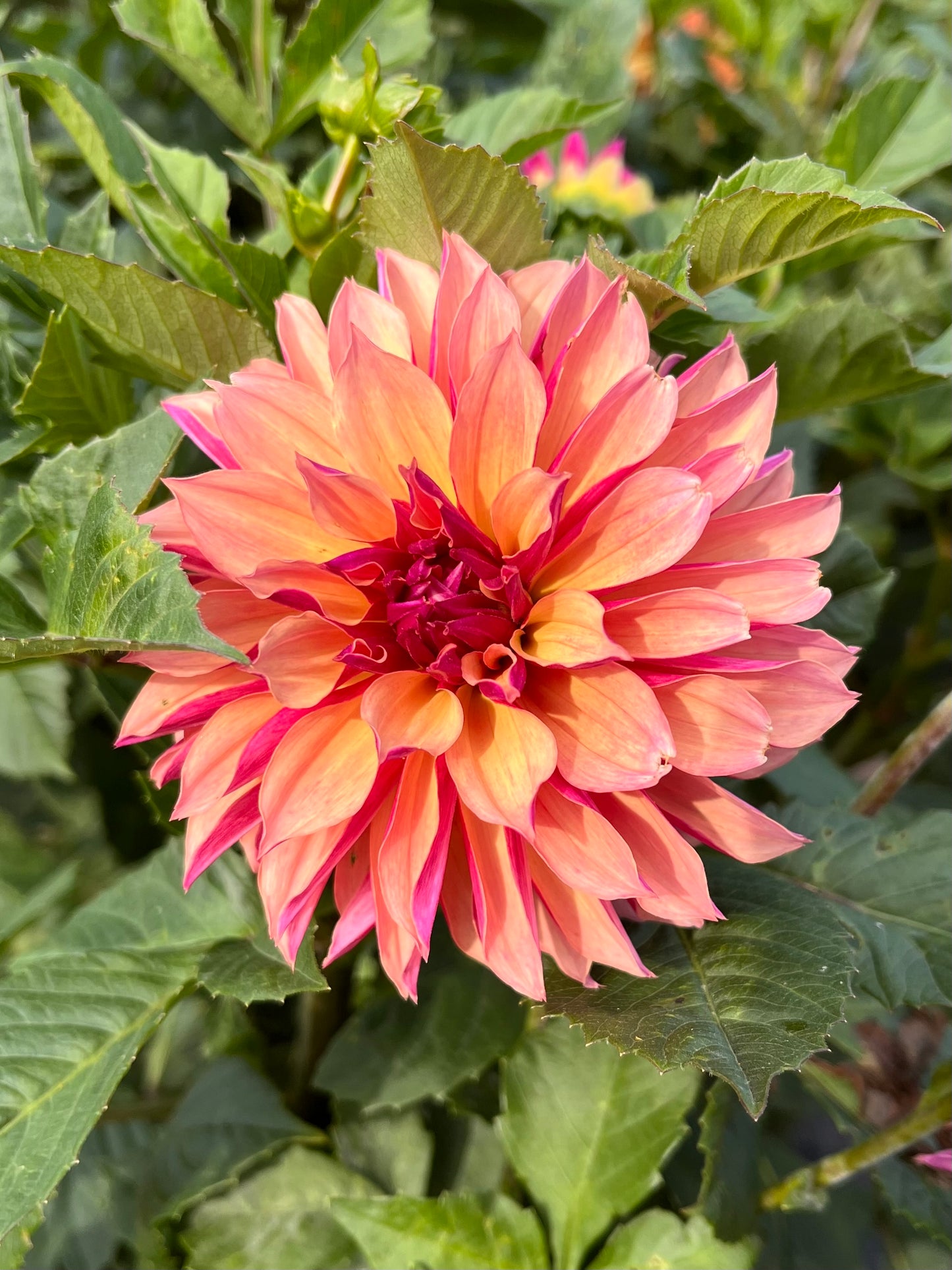 River’s Elizabeth